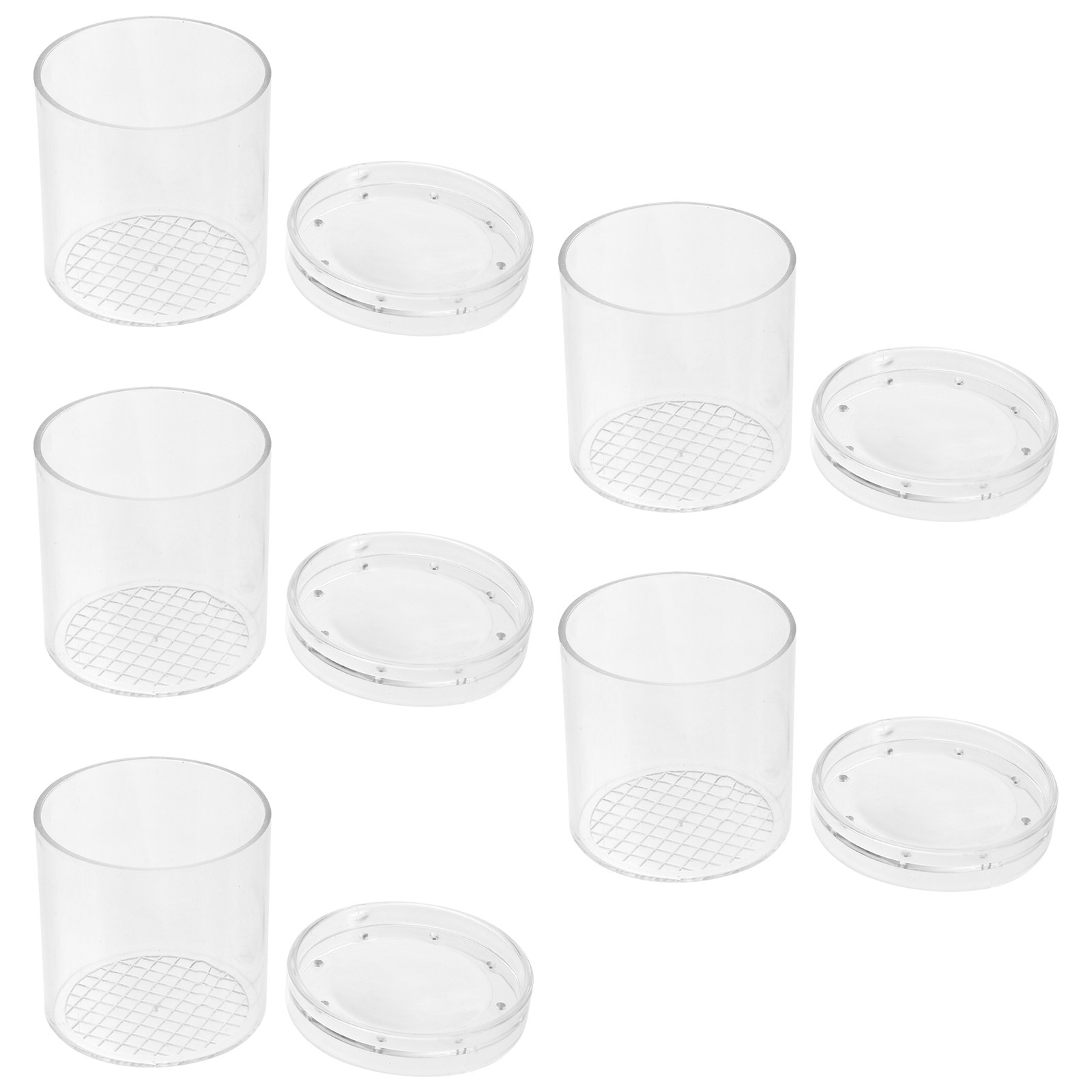 5Pcs Insect Observation Box Ki – Science Toys recenzja i cena