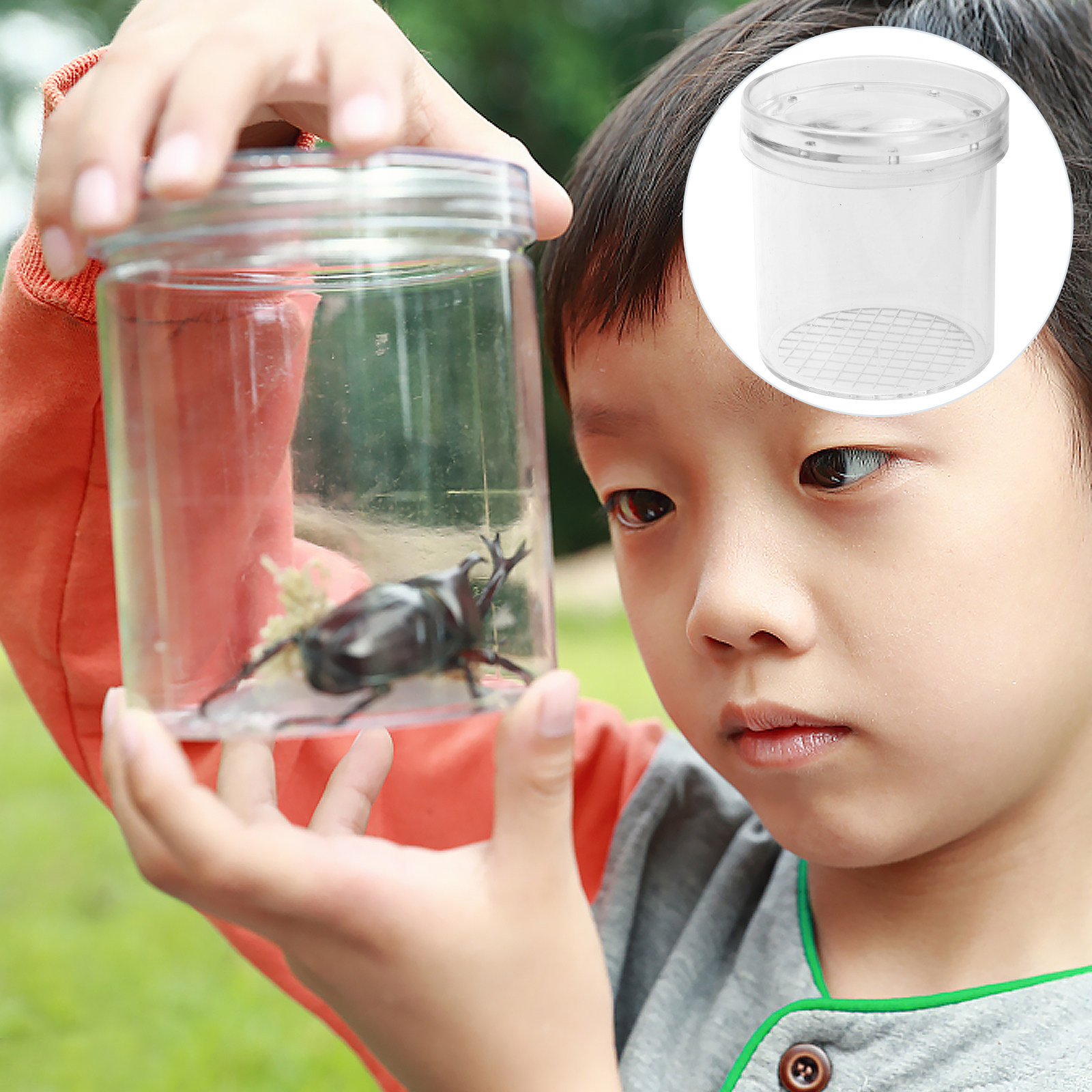 5Pcs Insect Observation Box Ki – Science Toys recenzja i cena