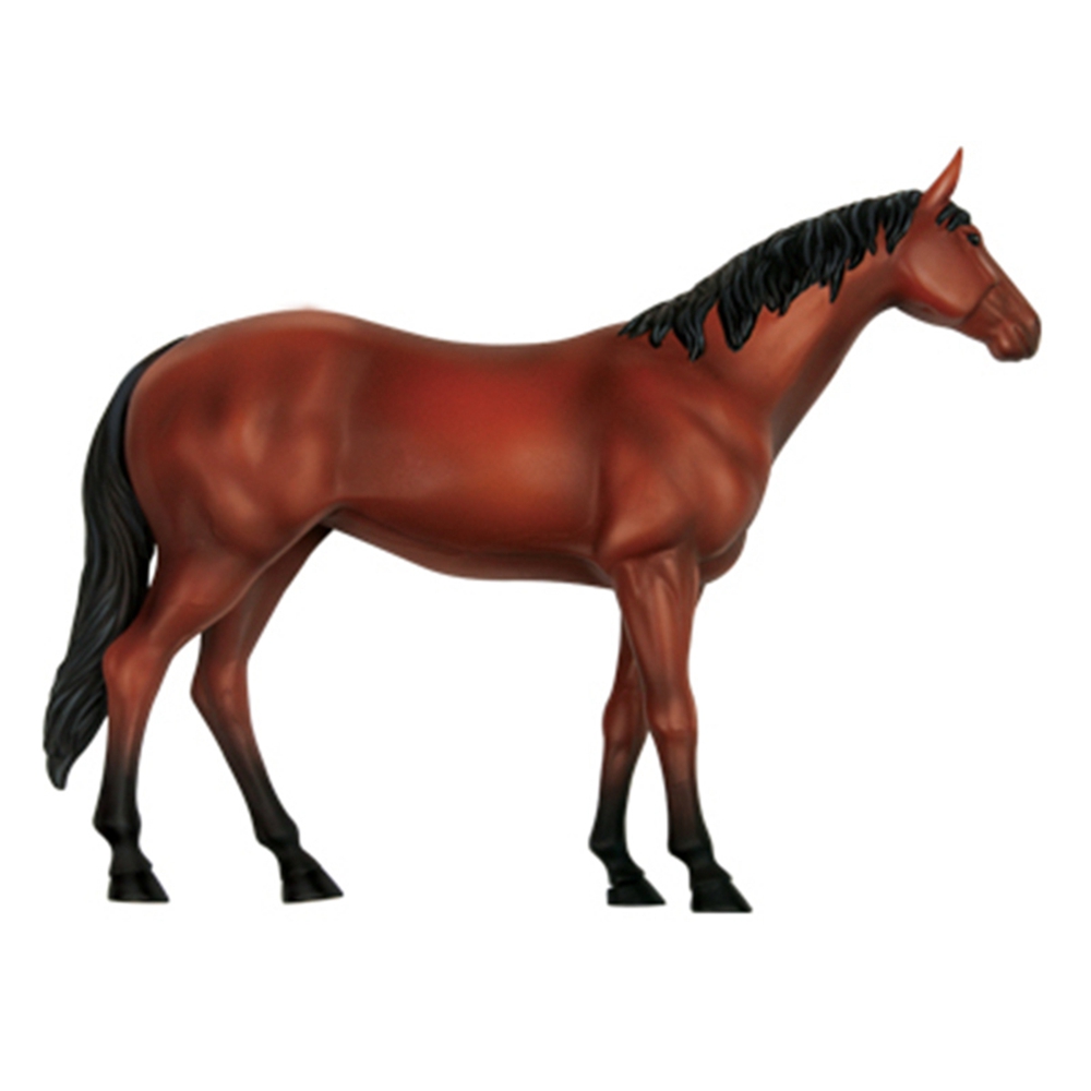 Animal Organ Anatomy Model 4D  – Science Toys recenzja i cena