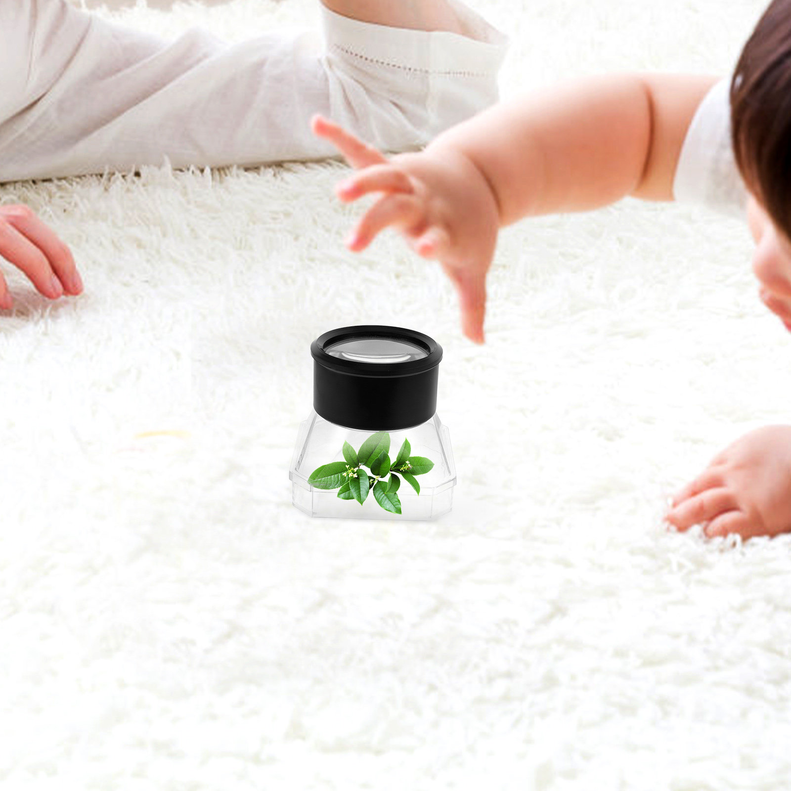 2Pcs Insect Magnifier Box Plas – Science Toys recenzja i cena