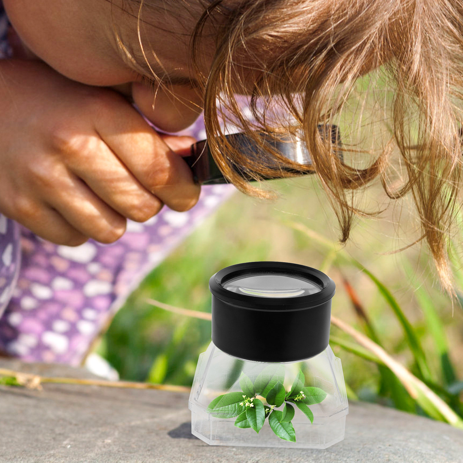2Pcs Insect Magnifier Box Plas – Science Toys recenzja i cena