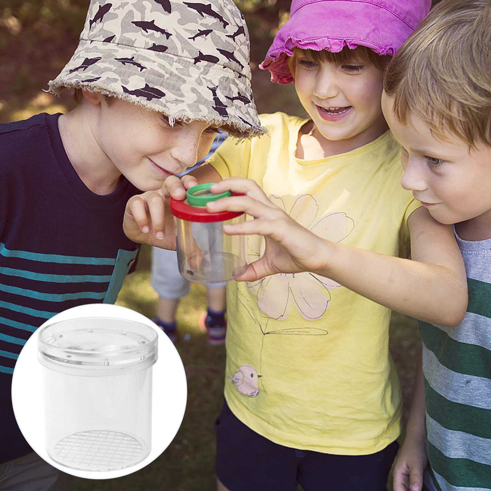 5Pcs Insect Viewer Box Kids Ex – Science Toys recenzja i cena