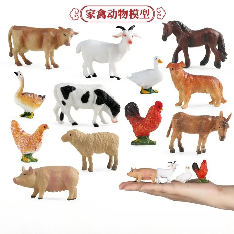 Education Teaching Tool Poultr – Science Toys recenzja i cena