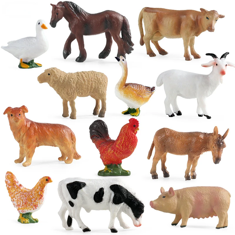 Education Teaching Tool Poultr – Science Toys recenzja i cena